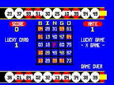 bingo screenshot
