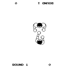 boxer screenshot