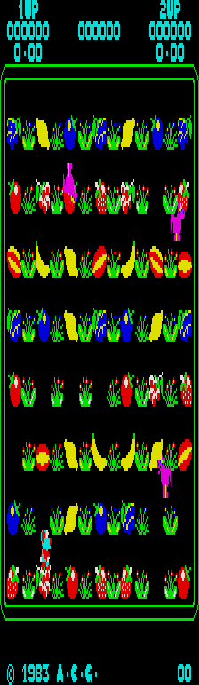 dingo screenshot