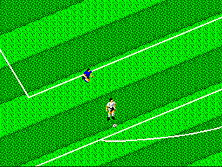 dynashot screenshot