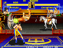 fightfev screenshot