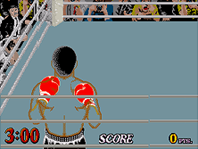 hwchamp screenshot