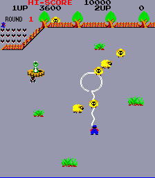 lasso screenshot