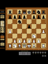 polgar screenshot