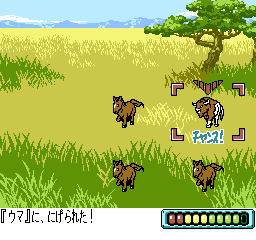 soulbird screenshot