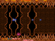 turtship screenshot