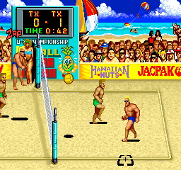 vball screenshot
