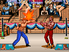 viofight screenshot
