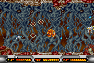 xmultipl screenshot